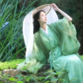 古筝茶馆催眠音｜古风淡雅枕边轻柔乐