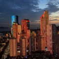 慢板情歌：细听心中的痛与爱