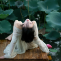 暮时赏筝乐｜古筝古典治愈中国风轻音乐