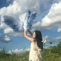 晨曦治愈：独处时光的声音画像