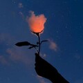 『安抚心灵』睡前催眠纯音乐