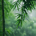 雨声白噪音：舒适解压 治愈安静睡眠时光