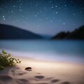 『哄你入眠』大自然轻音乐助眠曲