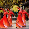 激情广场舞：优美音乐，闪亮舞步