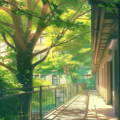 光落晚风｜盛夏小清新舒缓轻音