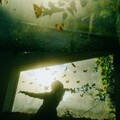 infp［清醒独行者］在孤独中寻找自我