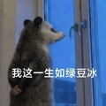 失恋指南｜轻快治愈成长曲