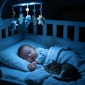 哄睡宝宝抚慰催眠曲:人类幼崽强制关机程序