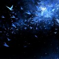 『绝美旋律』静听时间的步伐