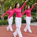 2026广场舞DJ合集｜卡点神曲跳舞超适配