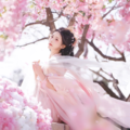 霜秋古筝古曲，安静轻音乐抚平愁绪