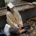 细雨林间安眠曲，快速入睡适配日常休息