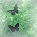华语民谣：慵懒午后治愈指南