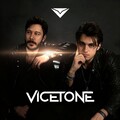 劲音起! | V神Vicetone早年神曲