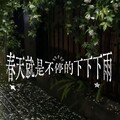 失恋列车：寻找各自角落的同路人