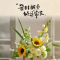 养生馆疗愈音：空灵音律，滋养身心疏通经络