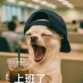 晨间咖啡轻音乐：清新乐曲开启温柔清晨