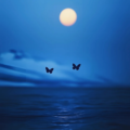 催眠纯音乐：静卧聆听纯钢琴一夜安稳舒缓曲目