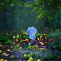 溪畔听雨丨自然疗愈，舒缓心灵