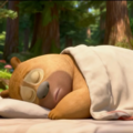 纯舒缓白噪音，浅眠人群专属助眠轻音乐