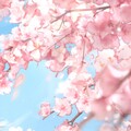 【轻闲品茗】古韵诉相思
