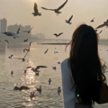 流行音乐：无人懂的心事藏进伤感流行曲