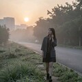 失恋物语｜细数情感里的苦与甜