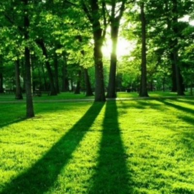 轻音袅袅：思绪放松，心灵宁静