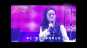 城市浮生(2014足感心黄韵玲春暖花开演唱会)