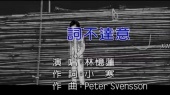 词不达意(伴奏版)