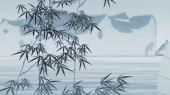 谢却荼蘼(伴奏版)