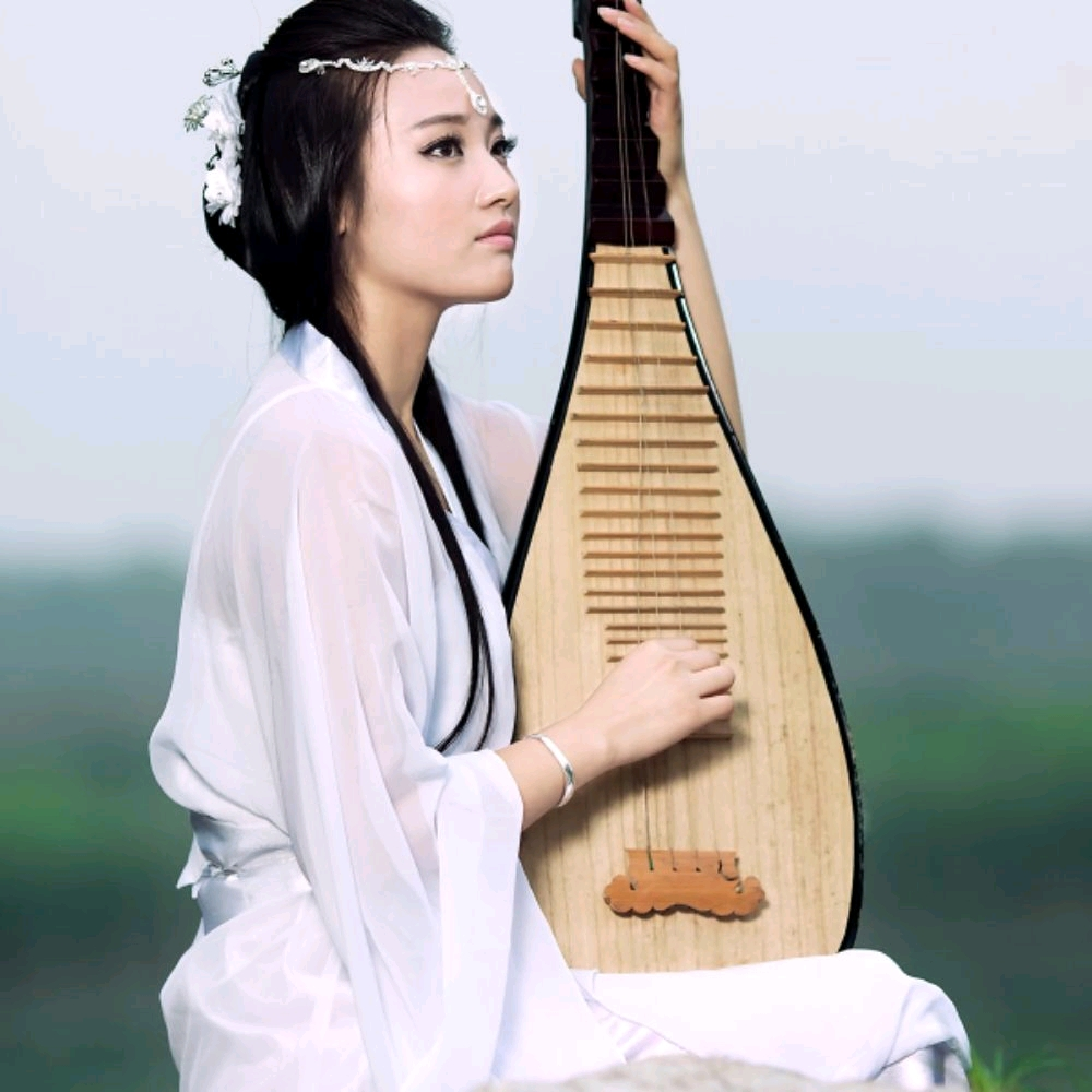 琴筝和鸣 琵琶语|古筝禅境  纯音乐